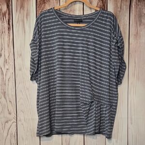 Bobeau Heathered Blue And White Striped Pleated Short Sleeve Top Plus 2X